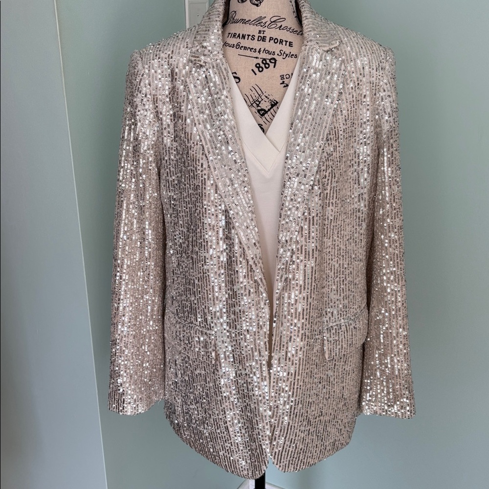 Silver Sequin Pants
